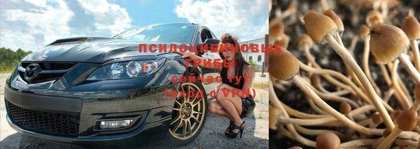 мет Апатиты